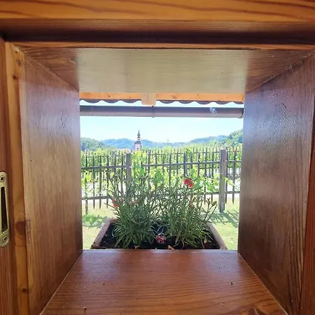 Pocitniska Hisica Zagar Сasa de vacaciones