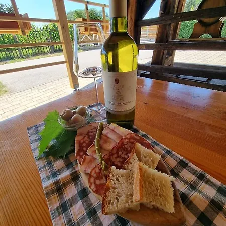 Feriehus Pocitniska Hisica Zagar *