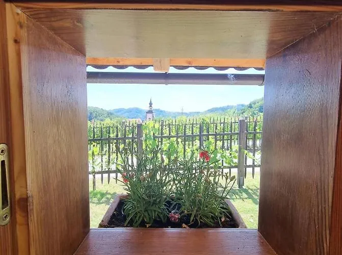 Pocitniska Hisica Zagar Tatil Evi